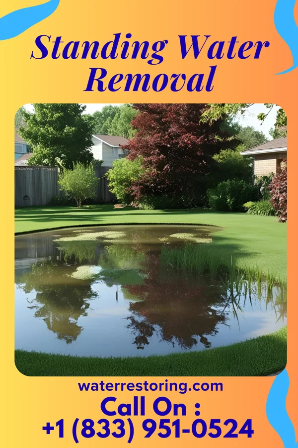 Standing Water Removal in Royal Lakes, IL